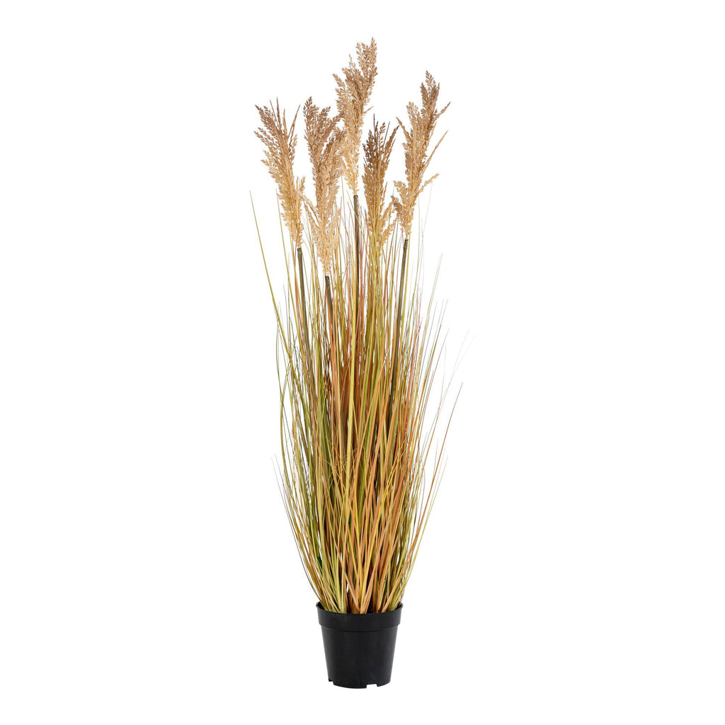 Plante graminée artificielle plumeaux beige en pot noir – H110 cm