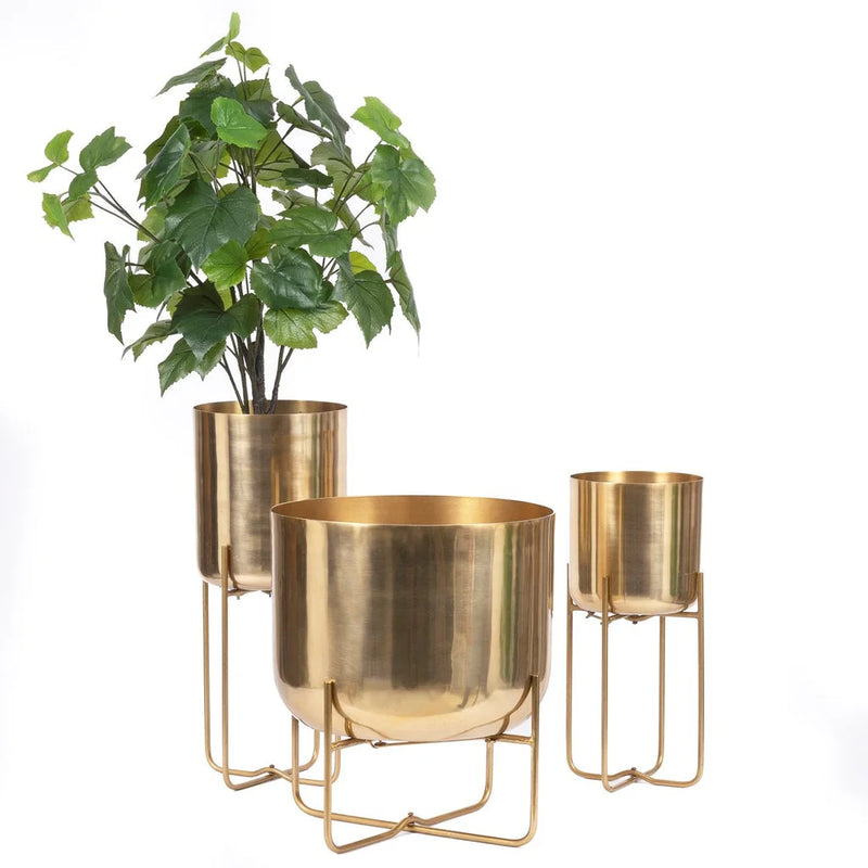 Vase en laiton avec support, contenant une plante, style moderne et élégant