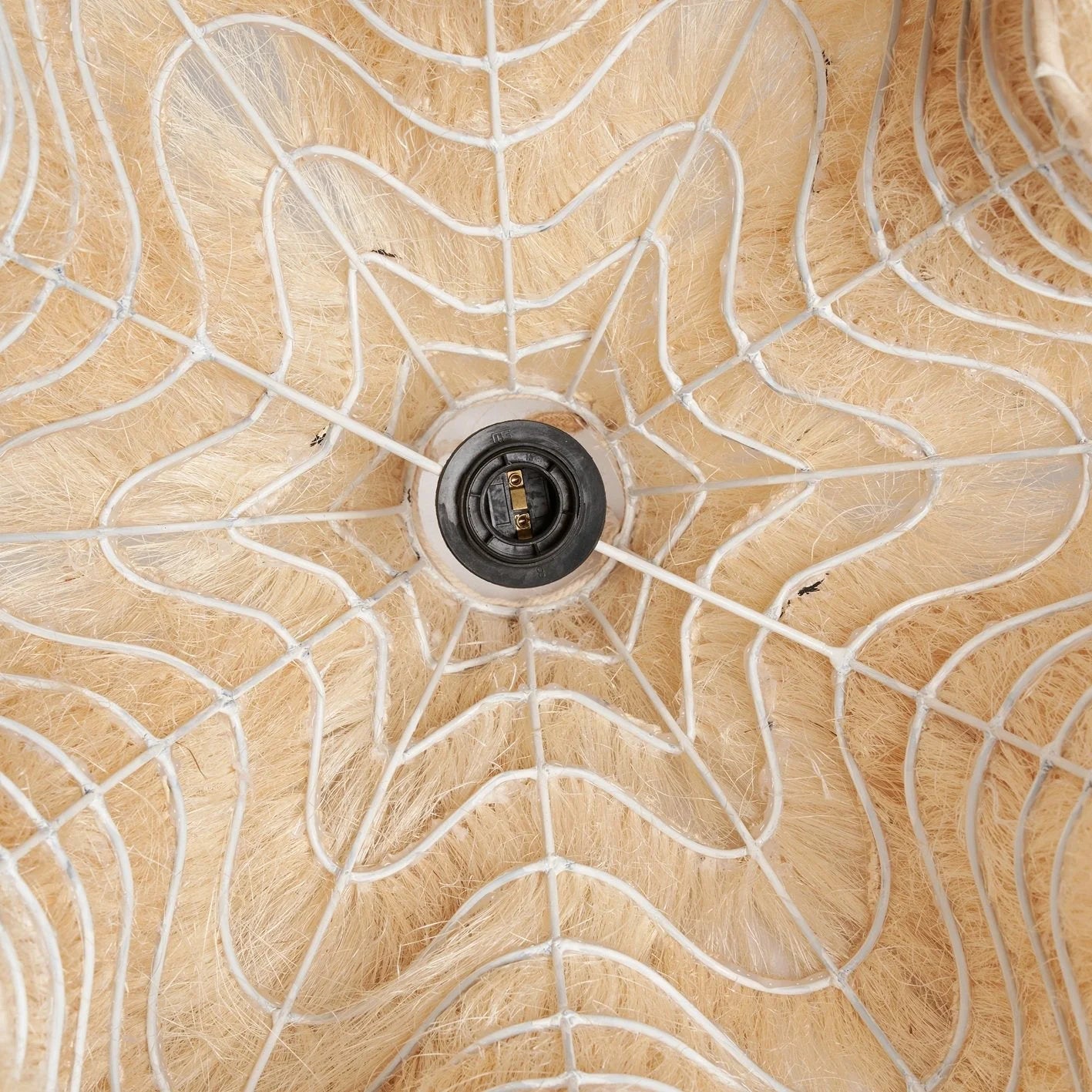 Disque en fibre de coco avec trou de drainage central et maille plastique blanche pour plante