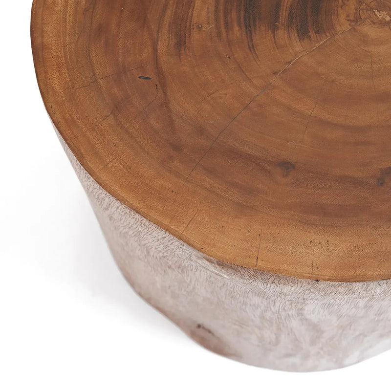 Table d’appoint en bois massif naturel Mungur 40 cm, style arbre tronqué