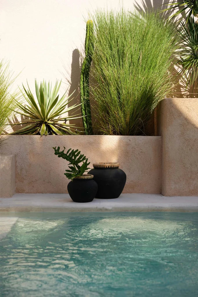 Deux pots noirs avec plantes pour le produit Le Vase Styly Noir Naturel L