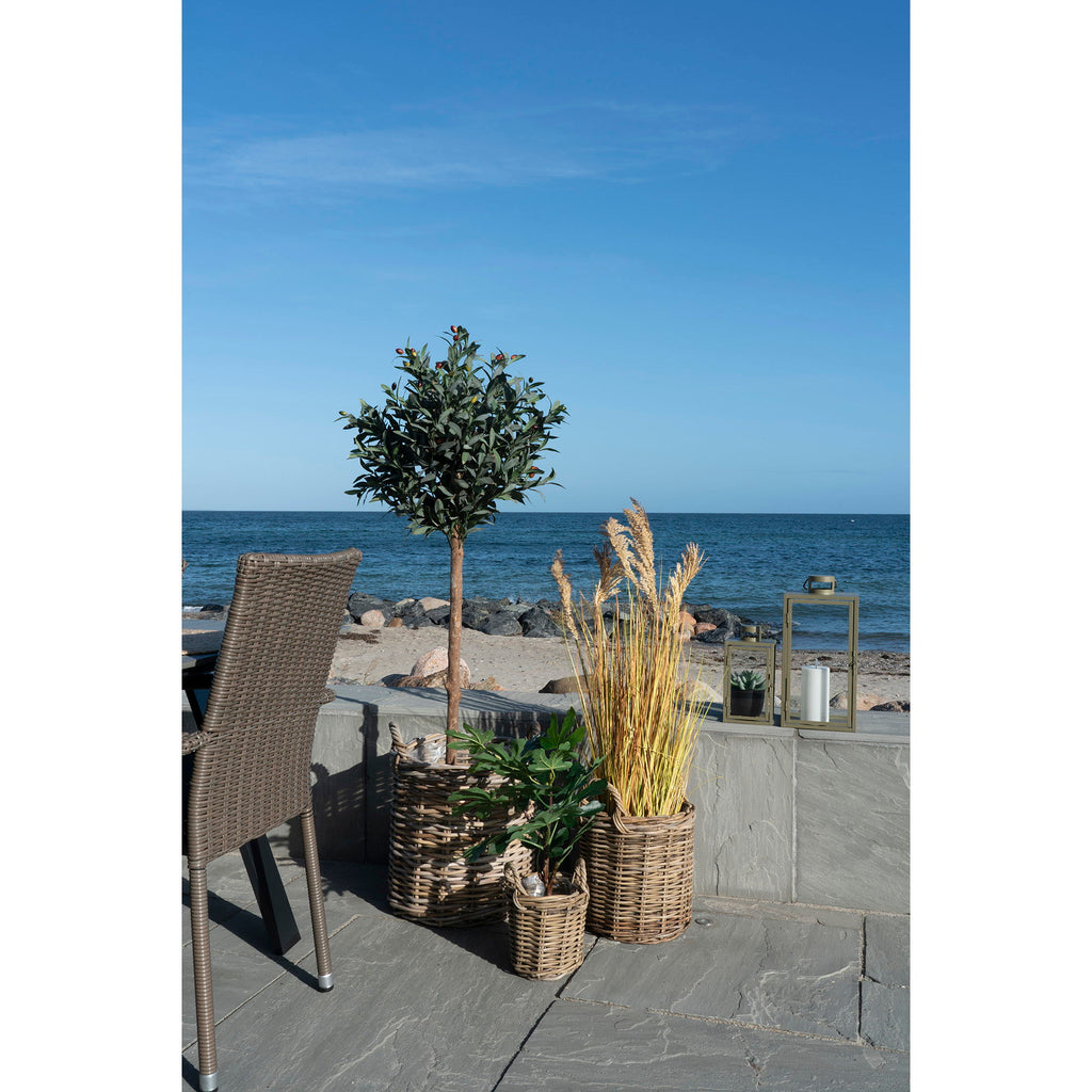 Paniers ronds en rotin naturel avec poignées et intérieur plastifié – Set de 3