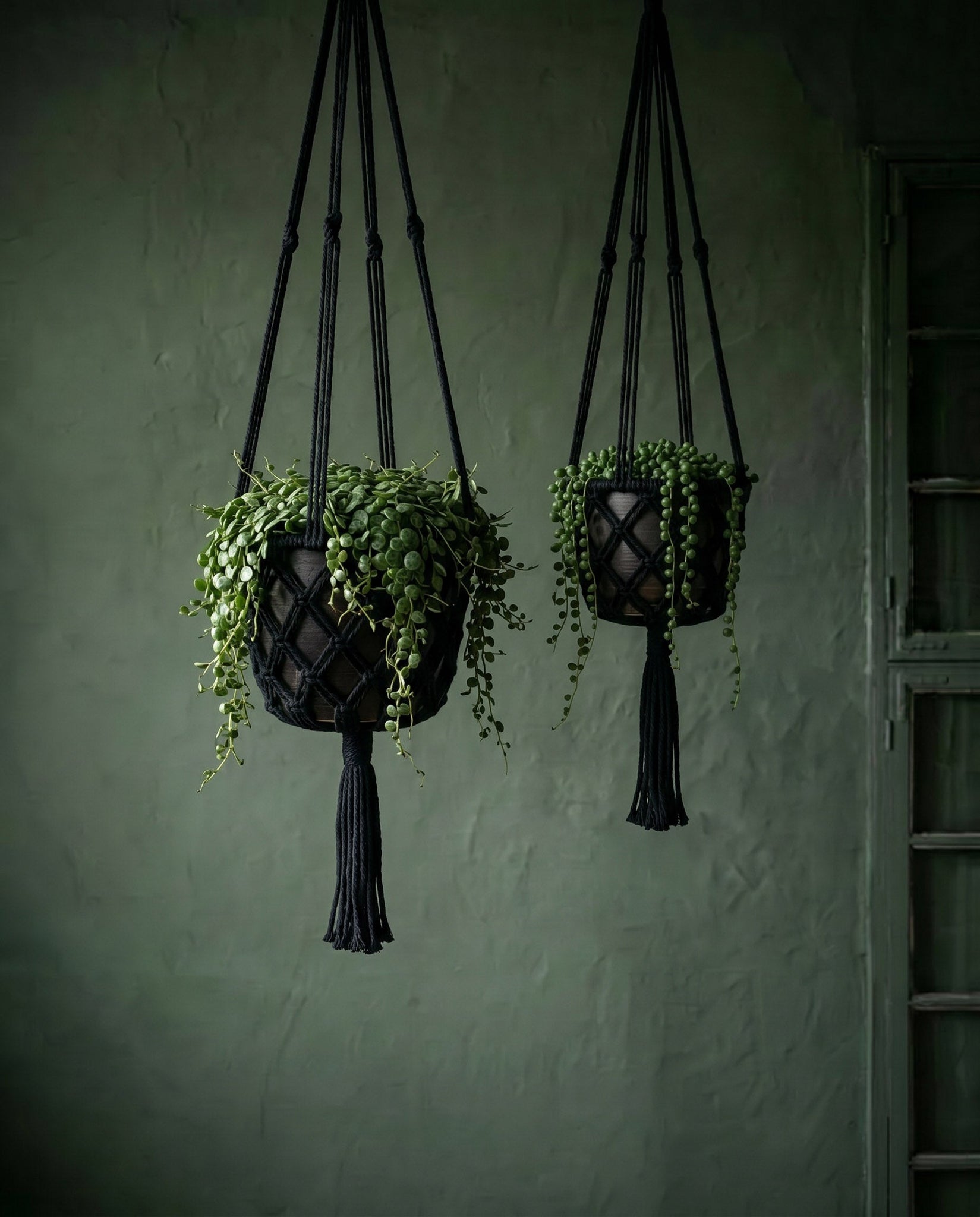 Suspension plante macramé noir en coton tressé avec franges – H100 cm