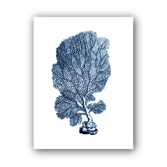 Affiche coraux ebleues variante 2