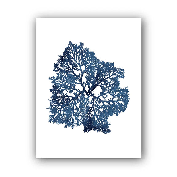Affiche coraux bleues variante 3