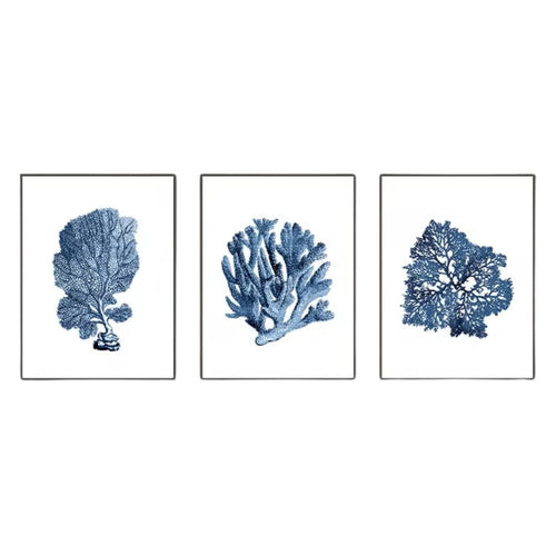 Affiche coraux bleues