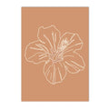 Affiche fleur en ligne blanche sur fond terracotta - 13x18cm
