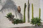 Applique murale en sisal naturel 60 cm fait main