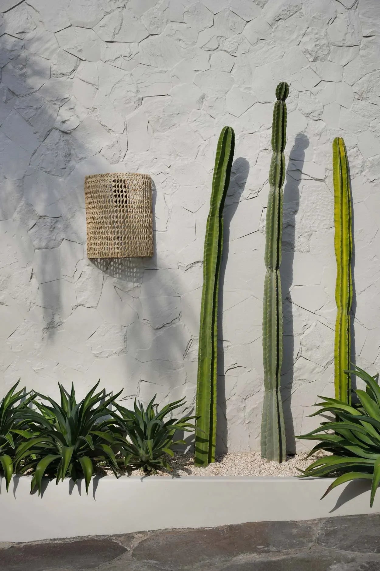 Décor de jardin de cactus avec décoration murale en sisal naturel tressé 40x21 cm