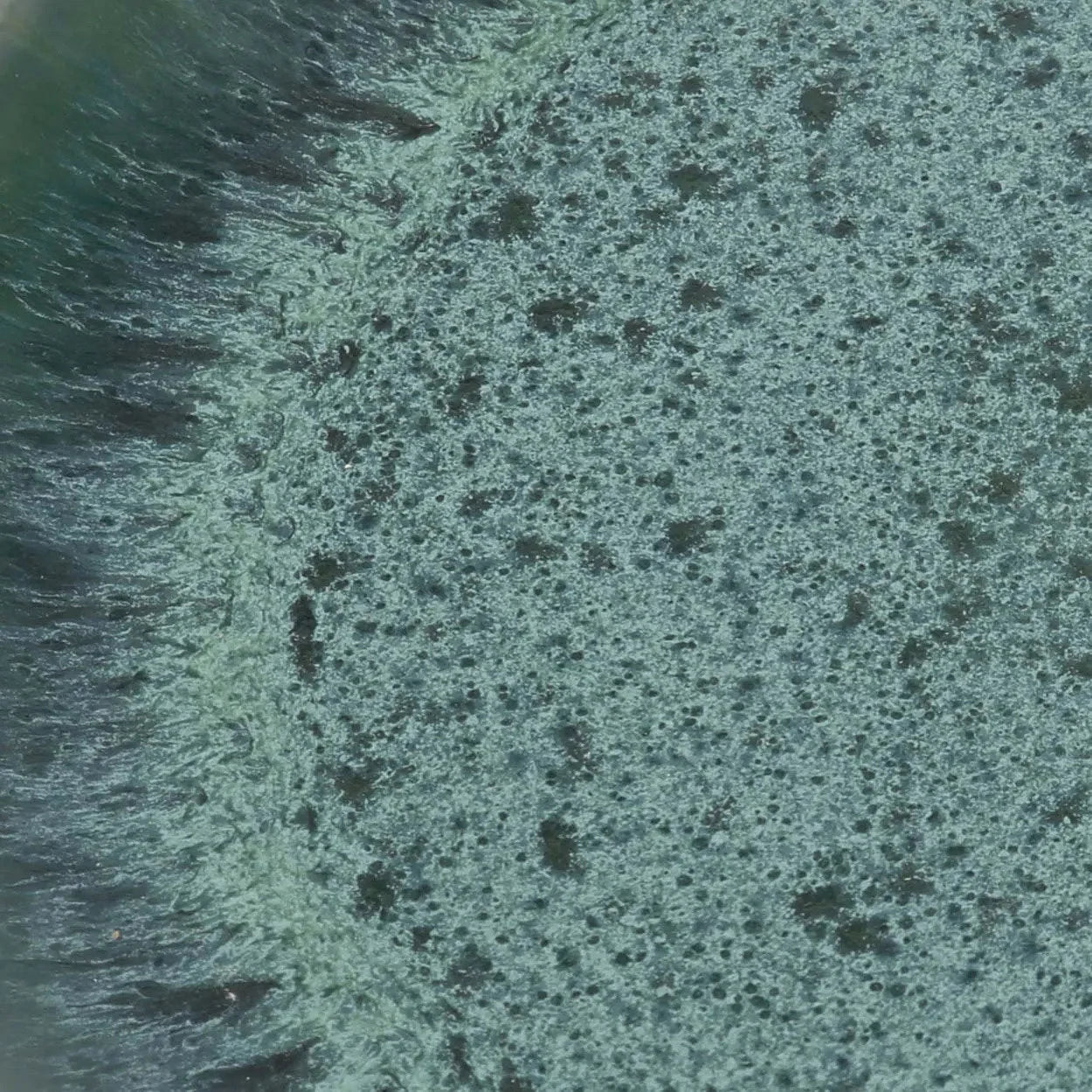 Assiette en grès émaillé vert teal effet moucheté halo radial texturé