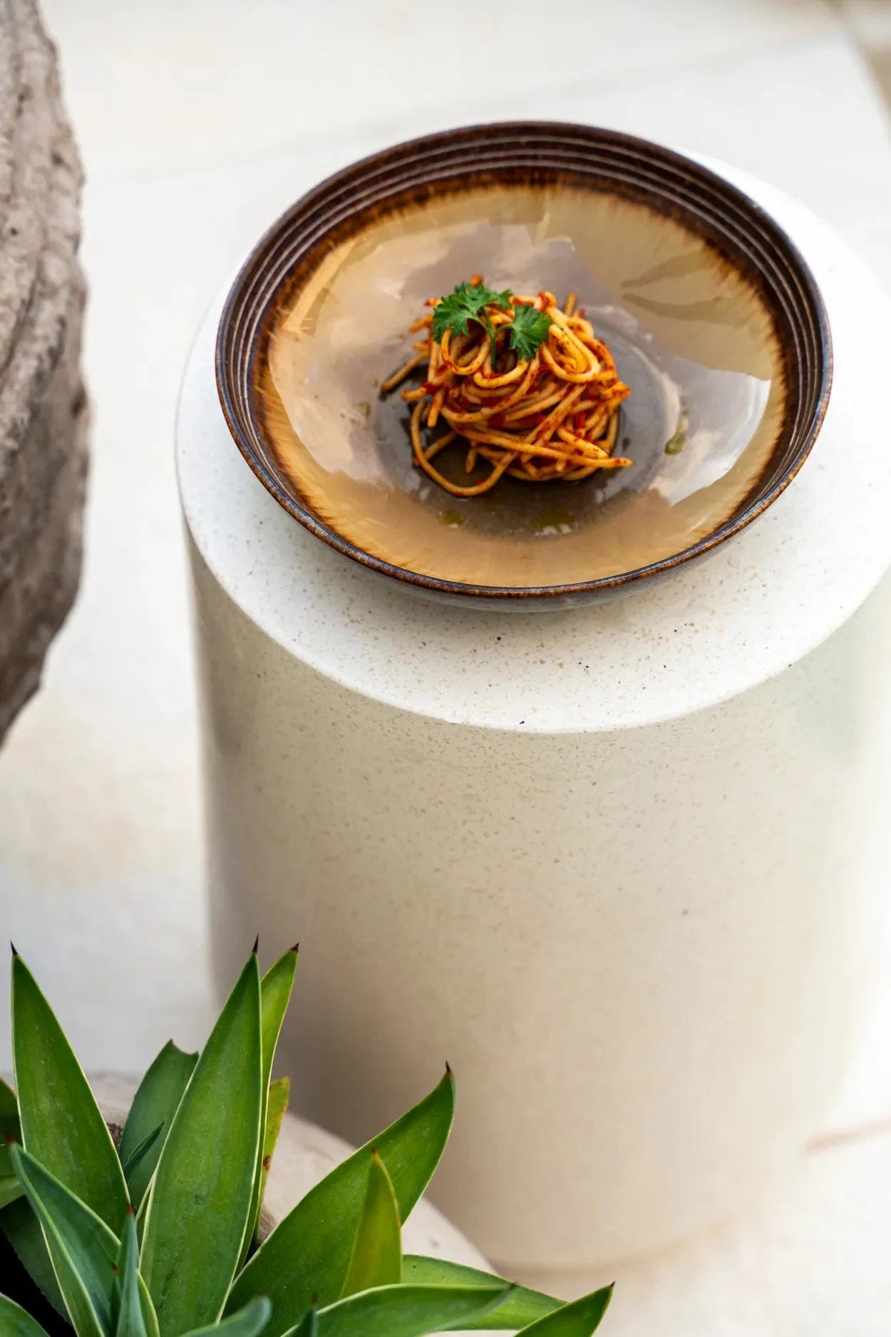 Spaghetti dans un bol en céramique émaillée gris brun intérieur rayonnant