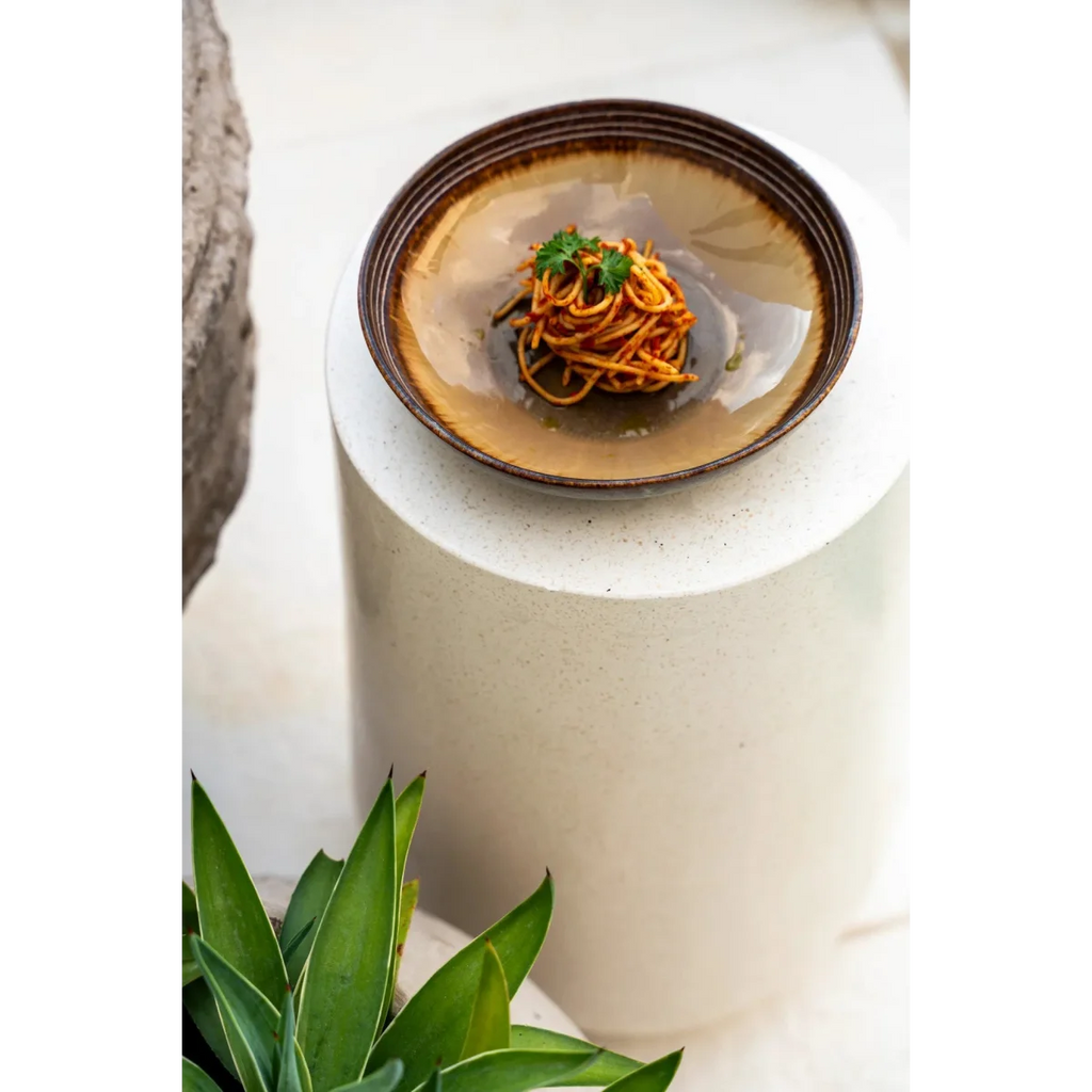 Assiette à pâtes en céramique émaillée gris brun avec spaghetti tomate et persil frais