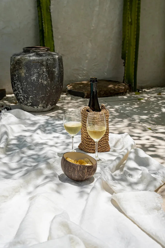 Scène de pique-nique avec du vin et des fruits.