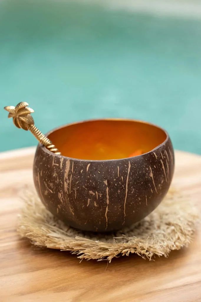 Bol alimentaire en coquille de noix de coco avec cuillère feuille de palmier naturel