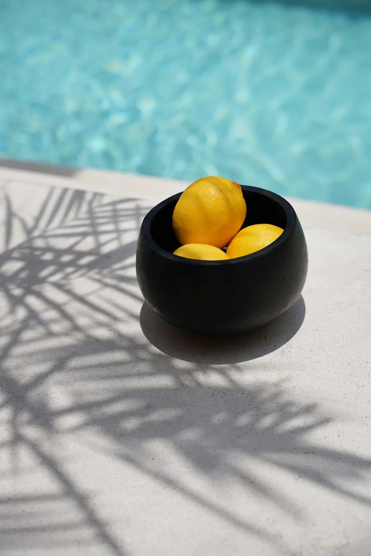 Citron dans un bol en teck noir fait main de 15 cm