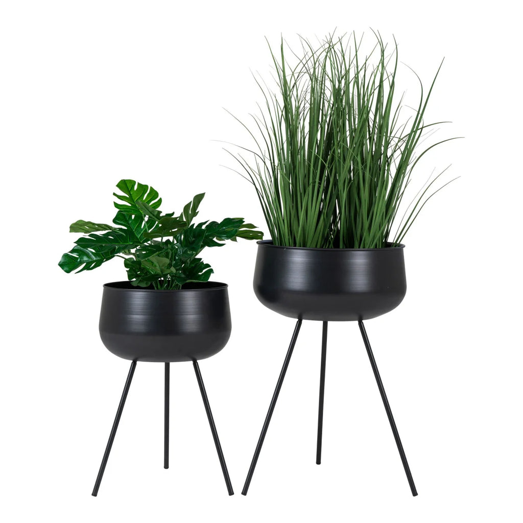 Deux supports végétaux noirs avec des plantes vertes, style cache-pot en métal lisse