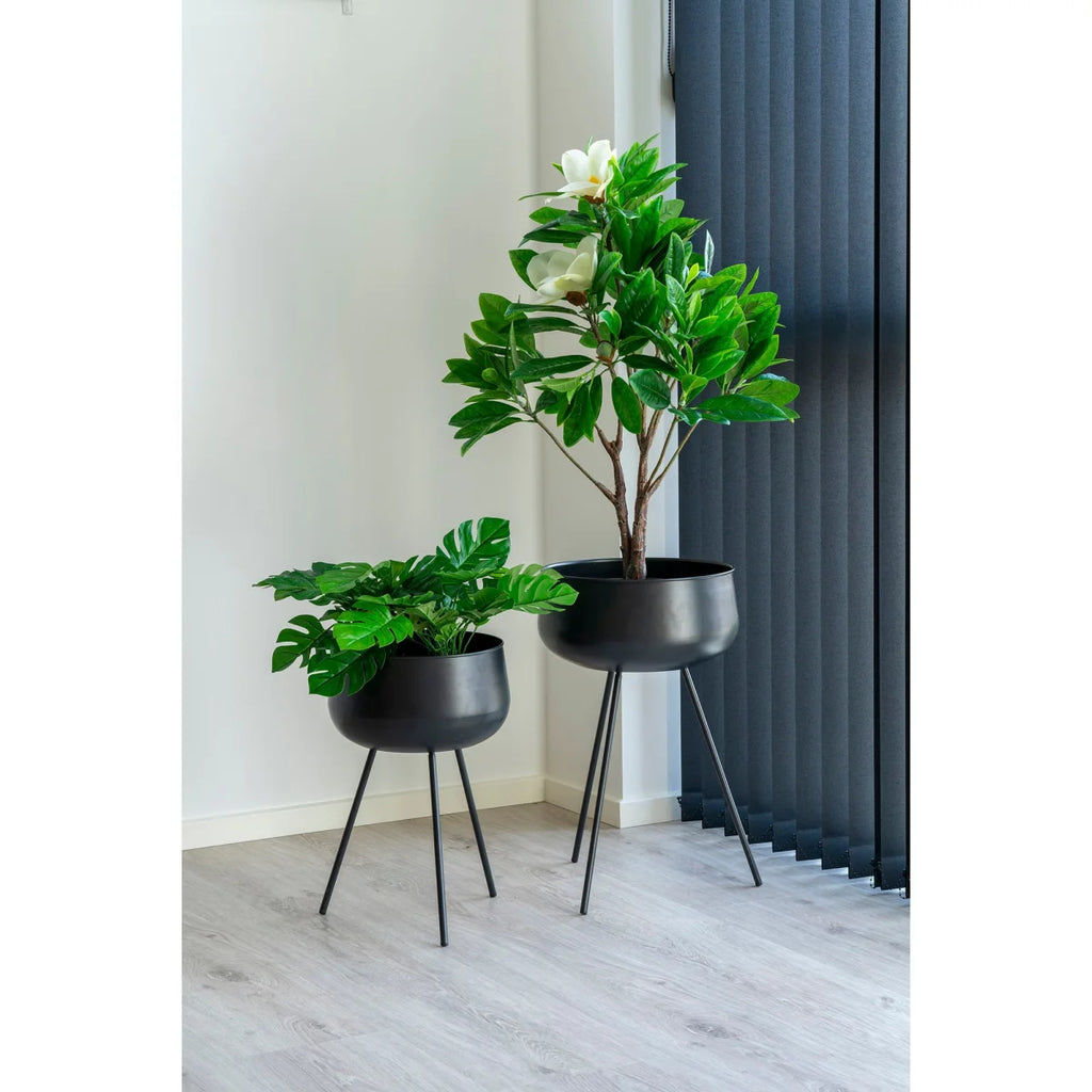 Deux plantes en pots métalliques noirs dans un lot de deux H46 cm