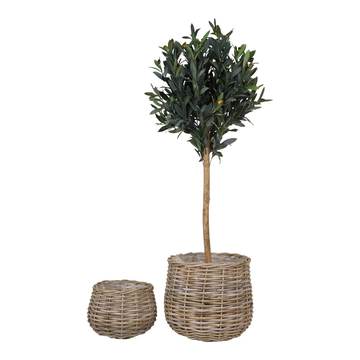Arbre olive artificiel haut en pot rond en rotin naturel, set de 2