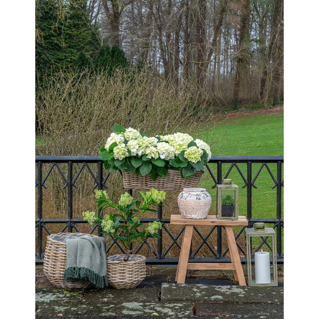 Panier en rotin naturel rond rempli d’hortensias blancs et feuilles vertes