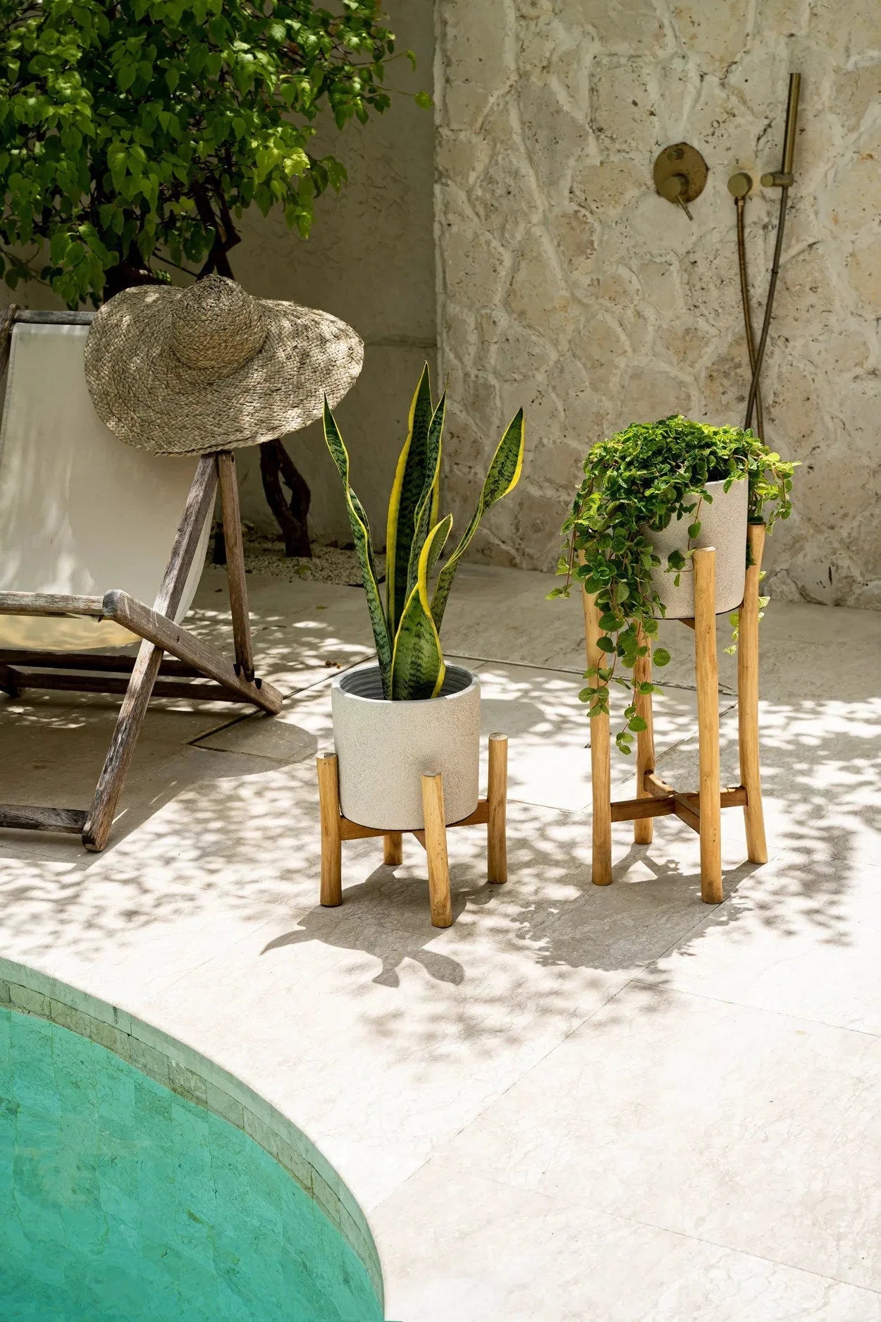 Deux plantes en pot en terre cuite et teck sur des supports en bois naturel