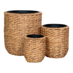 Trois cache-pots ronds en jacinthe d’eau naturelle tressée pour plantes