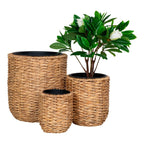 Trois cache-pots ronds en jacinthe d’eau naturelle tressée avec une plante