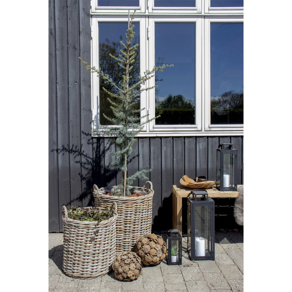 Trois paniers en rotin gris avec anses, un contenant un petit arbre Evergreen