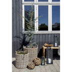 Trois paniers en rotin gris avec anses, un contenant un petit arbre Evergreen