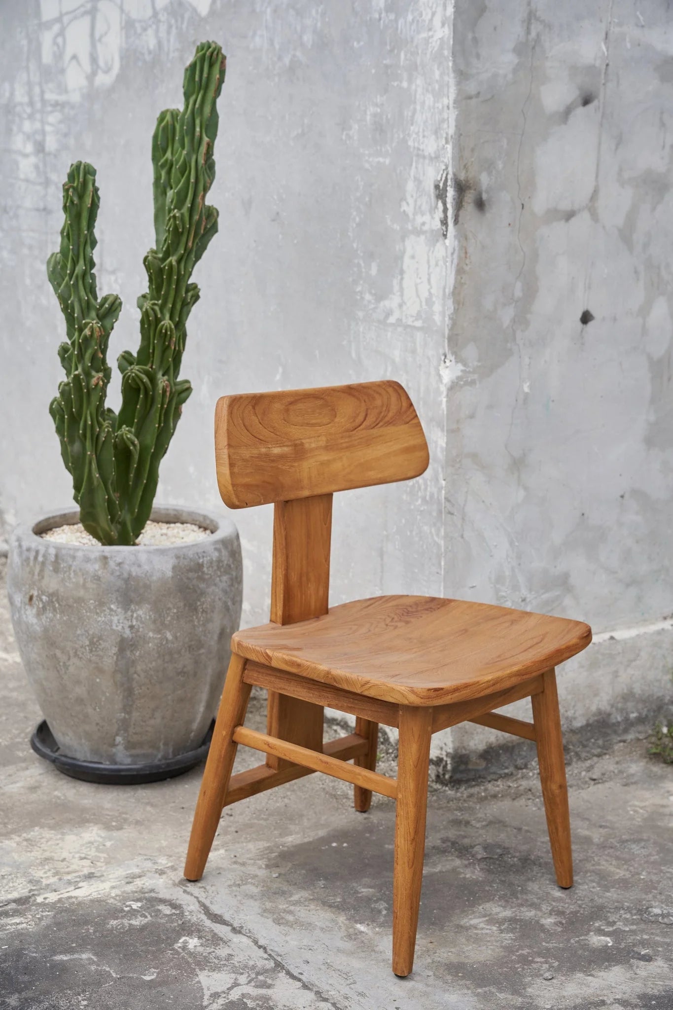 Chaise en teck naturel avec assise courbée et piètement compas renforcé