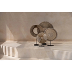 Coquillage décoratif perlé sur socle en coquille naturelle