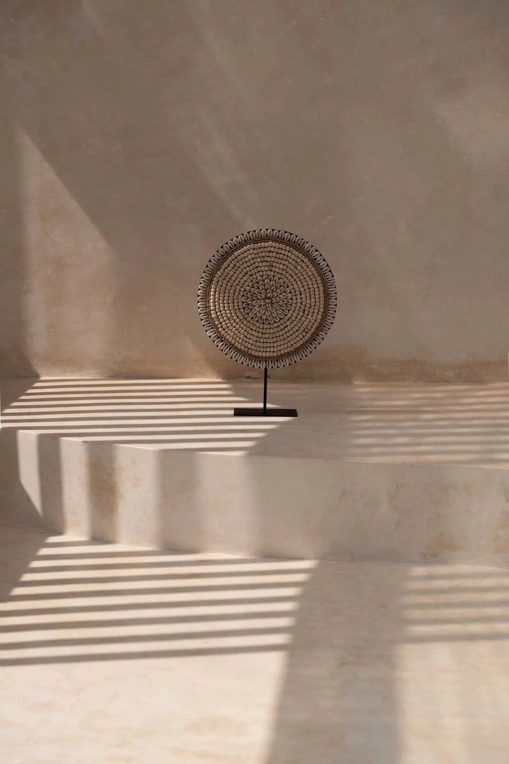 Coquillage décoratif en cauris blanc naturel sur socle noir, H40 cm