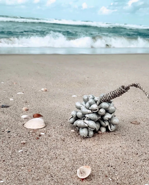 Bouée nautique recouverte de coquillages avec corde pour La coquille grise à pompon