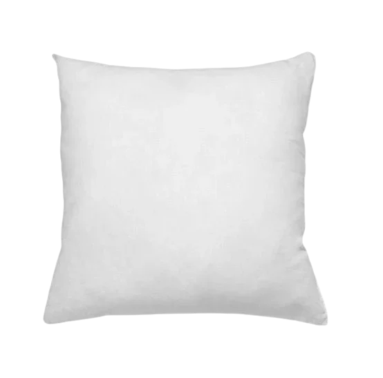 Coussin intérieur blanc carré de 50x50 pour décoration intérieure