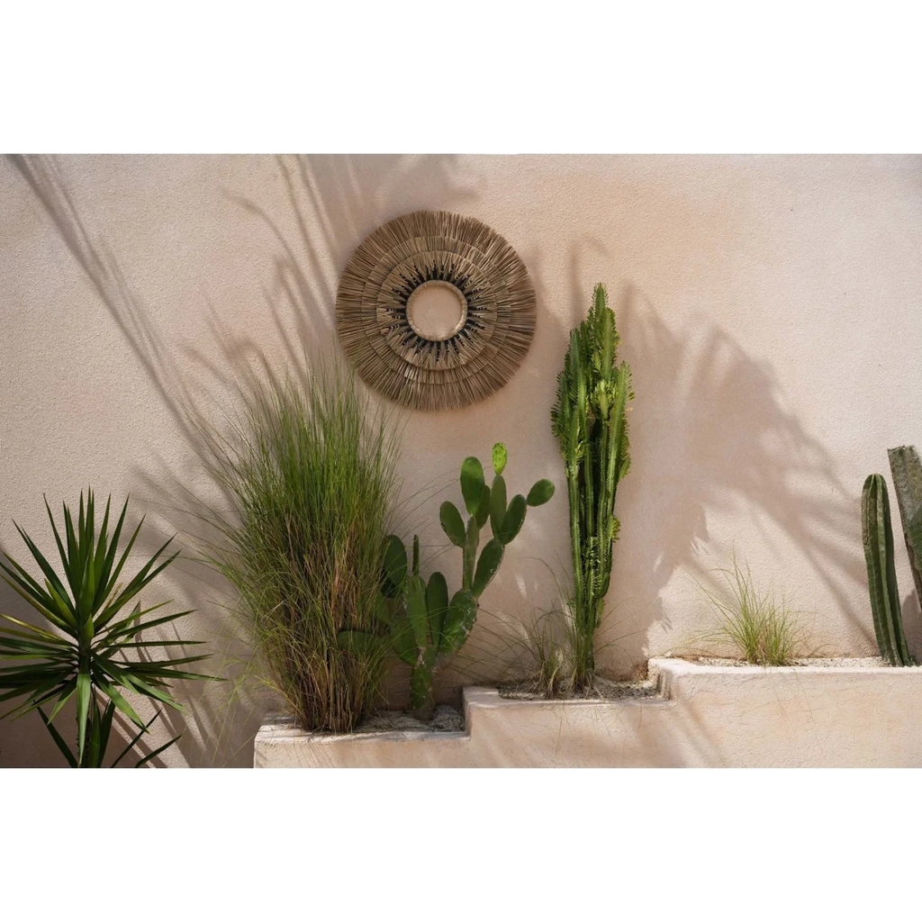Collection de plantes désertiques avec cacti et herbes dans un Déco mural en herbe Mengdong et coton noir 75x75 cm