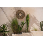 Collection de plantes désertiques avec cacti et herbes dans un Déco mural en herbe Mengdong et coton noir 75x75 cm