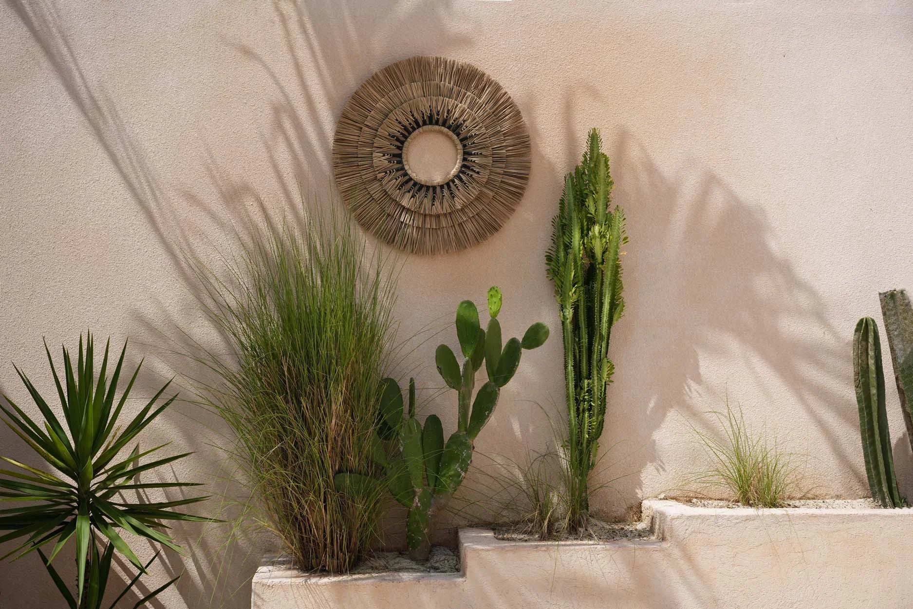 Décor mural désertique avec plantes et coton noir 75x75 cm pour une ambiance naturelle