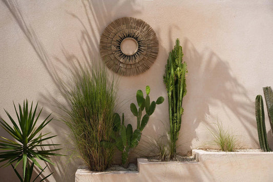 Décor mural désertique avec plantes et coton noir 75x75 cm pour une ambiance naturelle