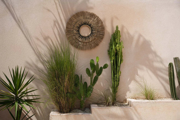 Décor mural désertique avec plantes et coton noir 75x75 cm pour une ambiance naturelle