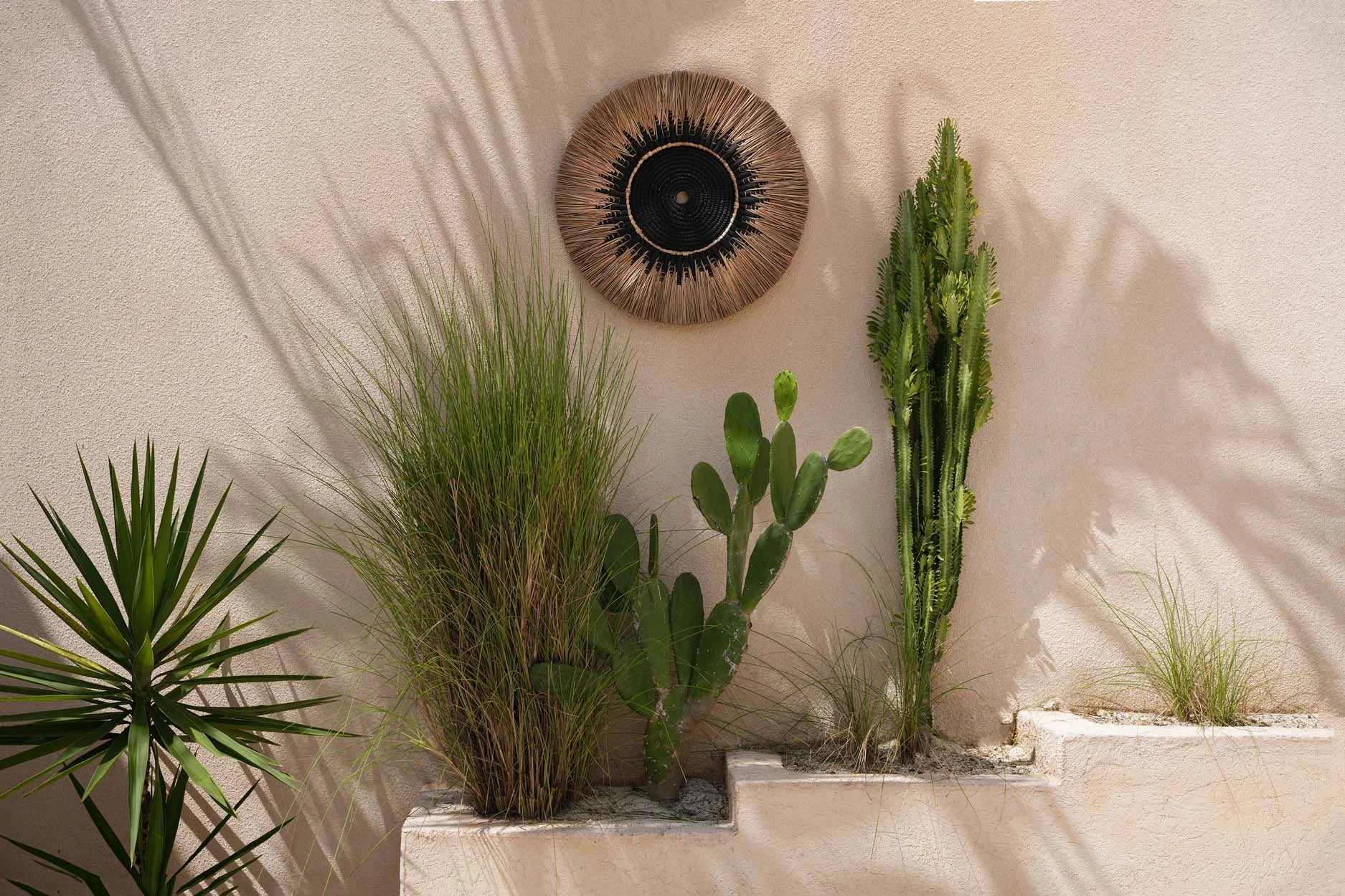 Décoration murale éclectique en raphia et macramé noir avec des plantes extérieures