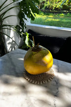 Verre de noix de coco jaune dans Le dessous de verre en coquillage d herbe marine Naturel