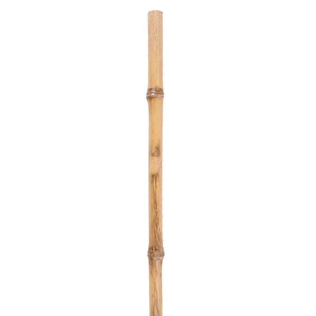 Bâton de bambou naturel avec nœuds visibles pour décoration intérieure H120 cm