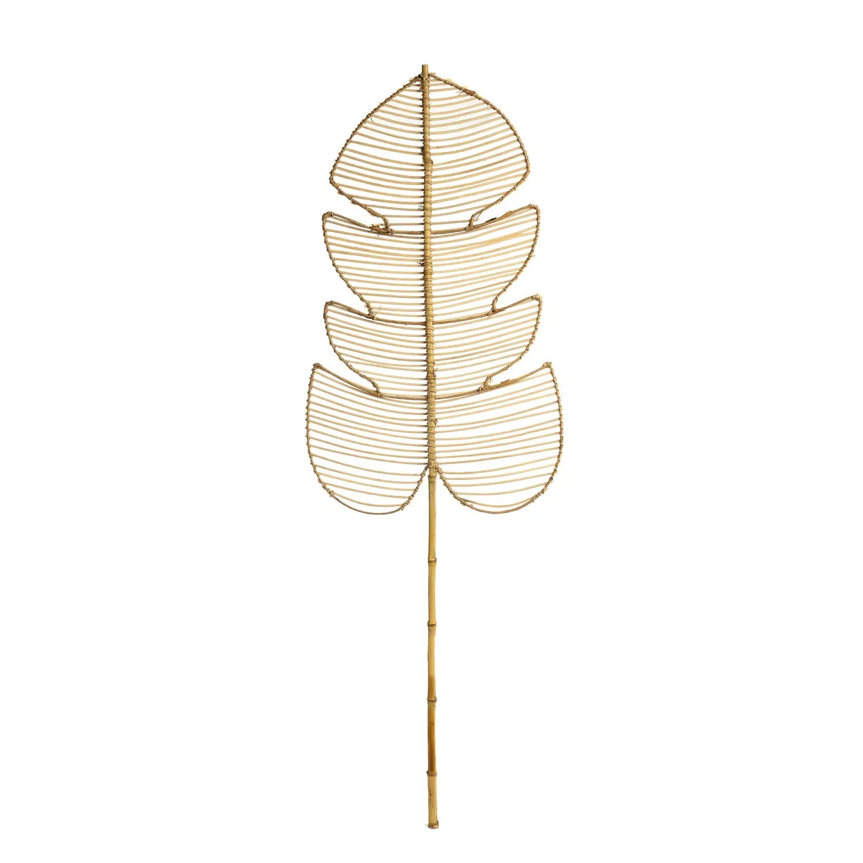 Feuille décorative en rotin naturel de 120 cm, idéale pour la décoration intérieure
