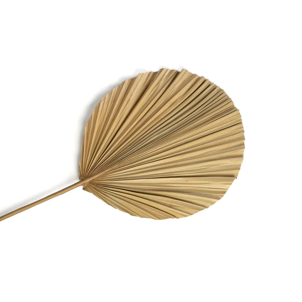 Ventilateur en feuilles de palmier séchées La Feuille de Rayung Naturel