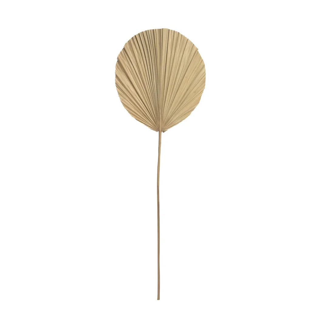 Feuille de palmier séchée sur tige pour La feuille de Rayung Naturel