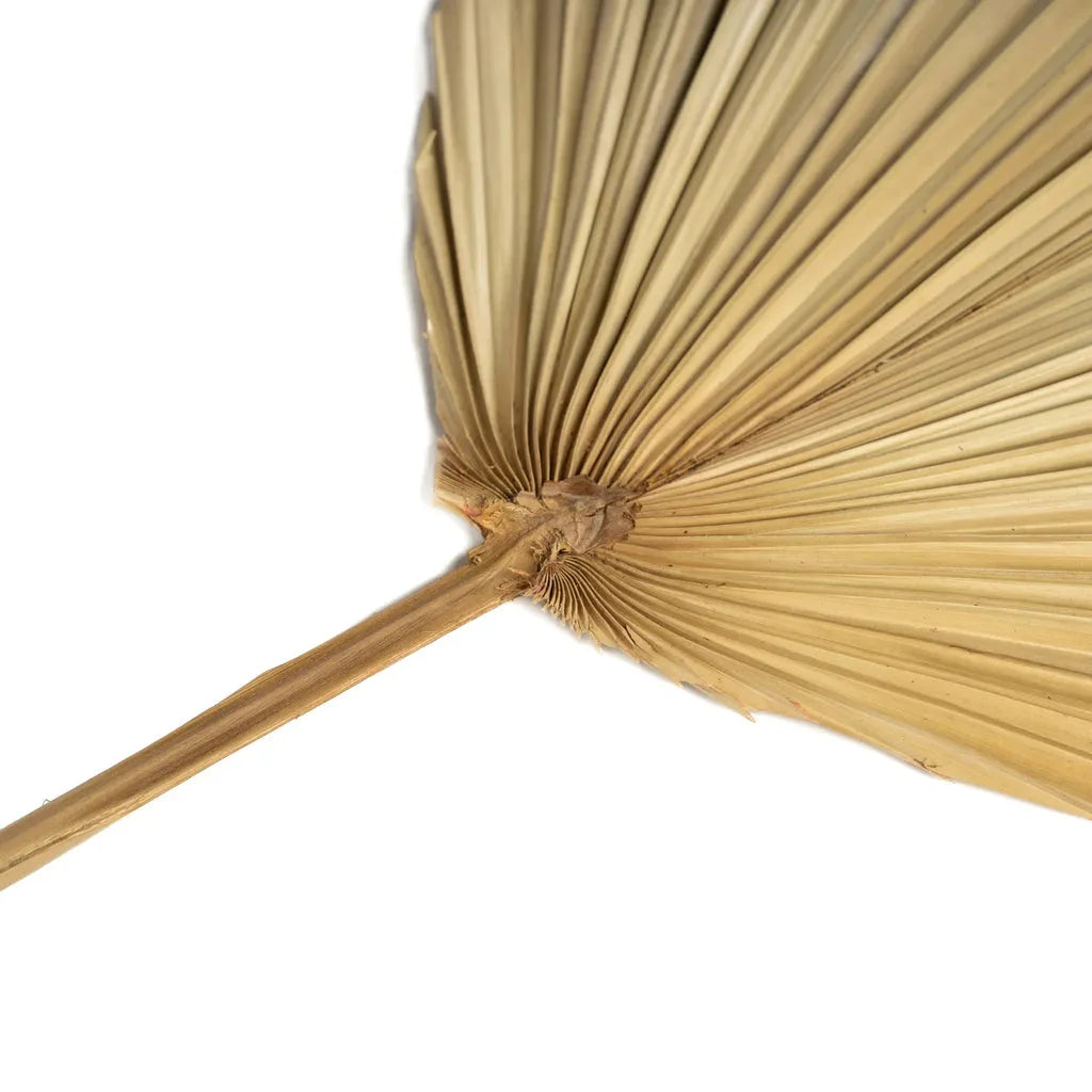 Ventilateur en feuille de palmier séchée La feuille de Rayung Naturel naturel et écologique