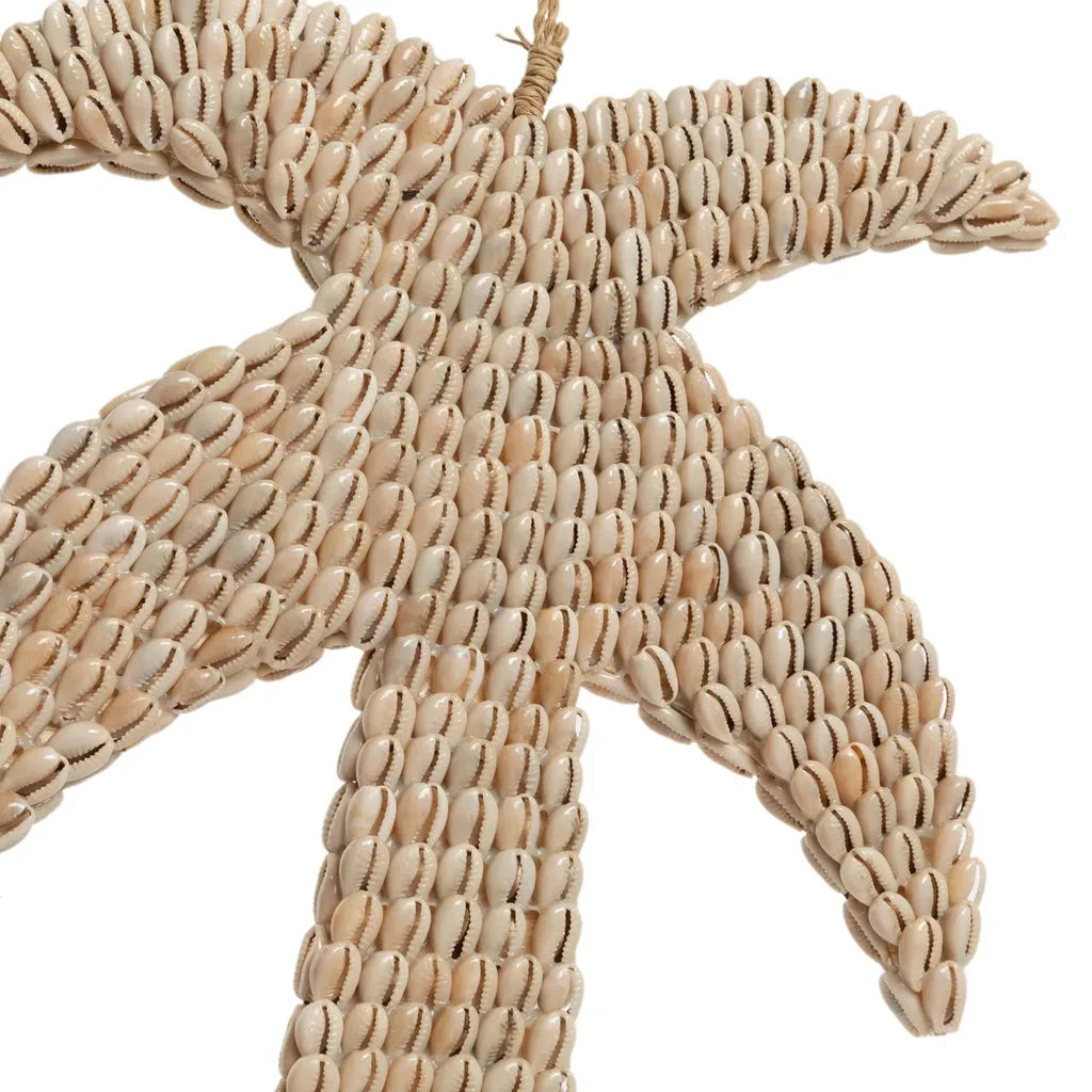 Décoration naturelle avec coquilles de cowrie et palmier pour L’arbre à coquilles