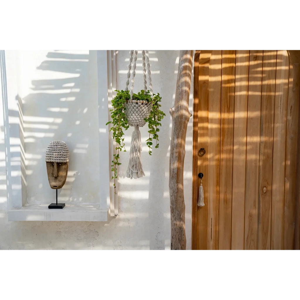 Vase en bois et coquillages avec plante verte suspendue pour décoration intérieure