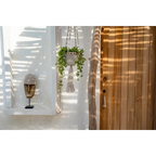 Vase en bois et coquillages avec plante verte suspendue pour décoration intérieure