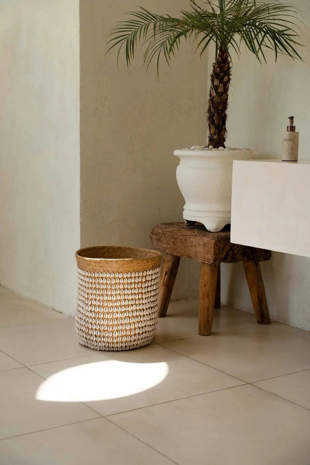 Plante de palmier dattier en pot dans un panier cylindrique en pandan tressé naturel avec coquillages blancs