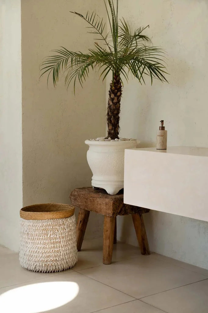 Potted palm on rustic stool for Le Panier Pandan #2 display